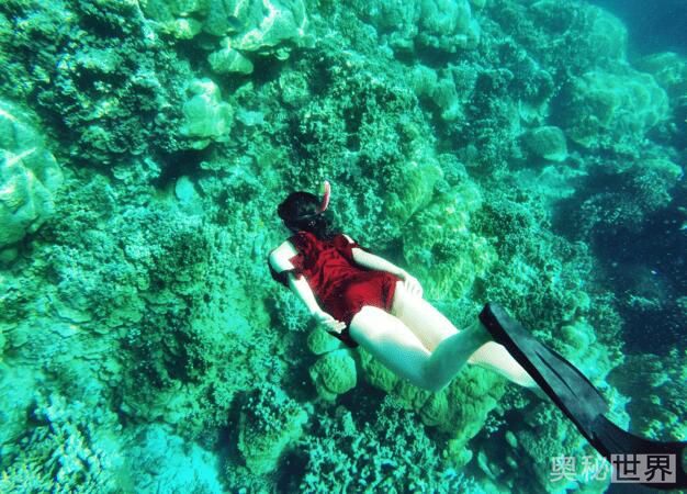 世界上最美的地方,世界上最美的地方是什么样的