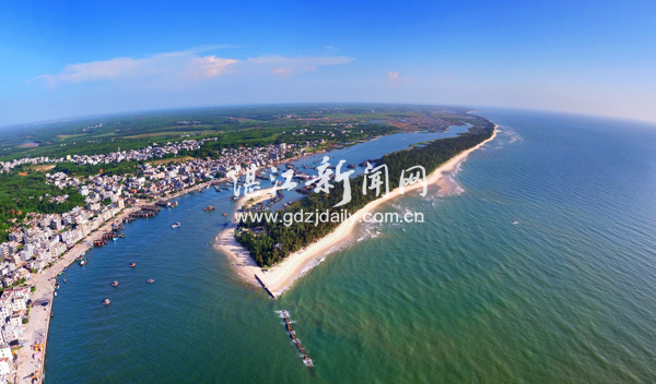 海洋湛江,湛江除胎记