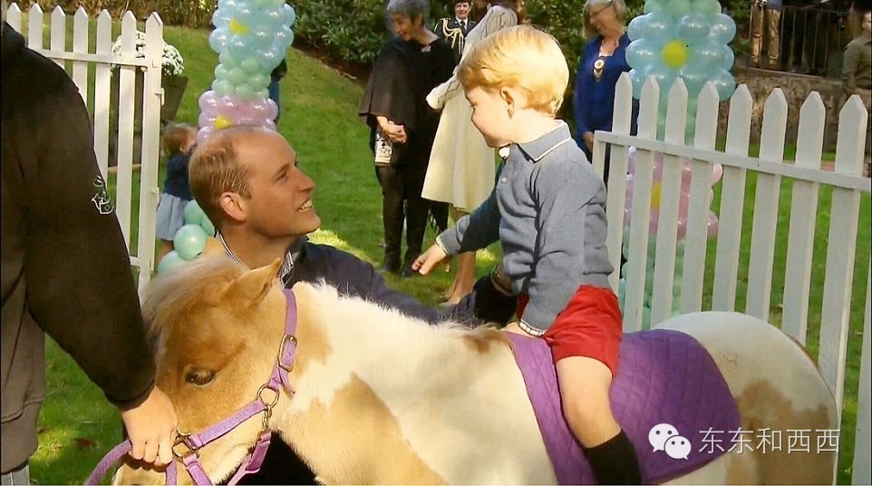 这姑娘太阳光，她照亮了英国王室