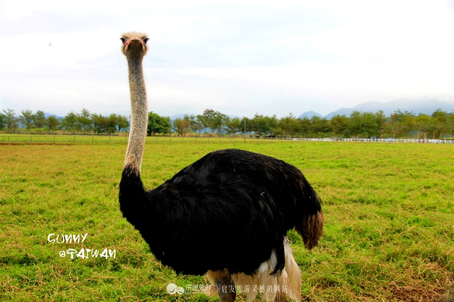 垦丁到花莲旅游攻略一日游,垦丁到高雄一日游攻略路线