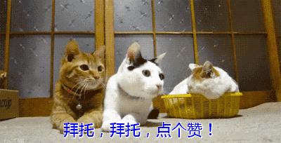 燃气灶十大不合格名单,燃气灶具超期判定标准