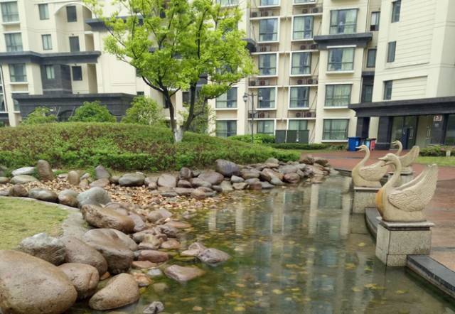 应届毕业生租单身公寓,毕业生如何租到适合自己的小公寓