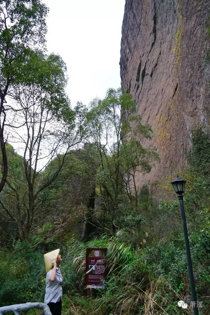 和国外人说话语言不通怎么办,与外国人无障碍交流方法