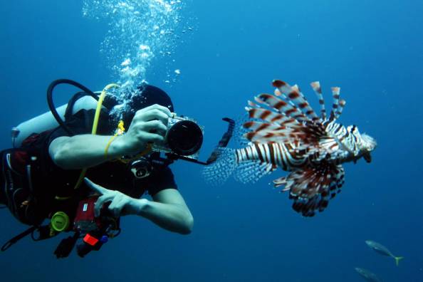 萌萌哒海狮空降海口，竟然还有这样的水上活动！