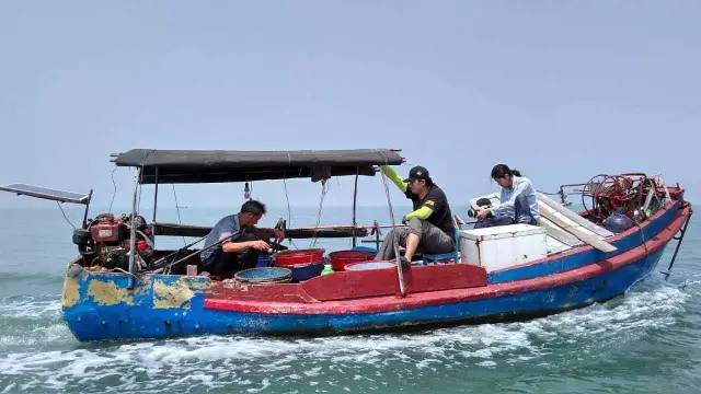 延绳钓非遗,延绳钓老一辈传下来的老手艺