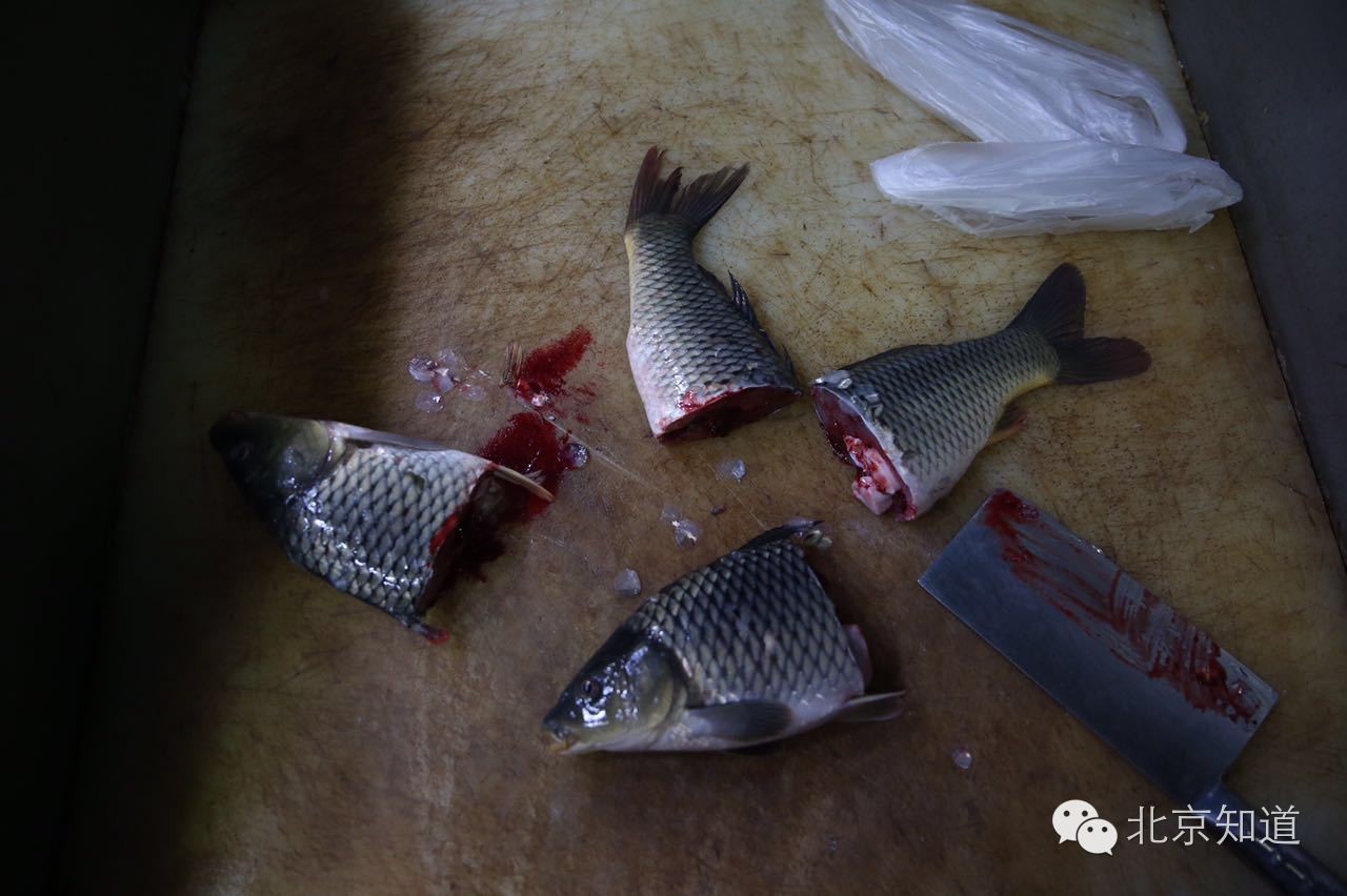 真假?!据说超市里活又游回来了!