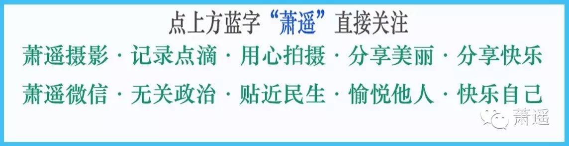 与外国人无障碍交流方法,跟外国人聊天语言不通怎么办