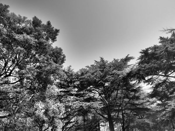 奥林巴斯e-pl8可以自拍吗,奥林巴斯epl8拍的照片