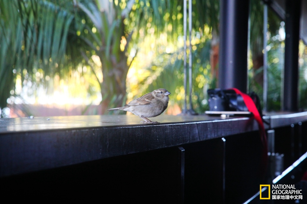 侠骨柔情展现的淋漓尽致,侠骨柔情温柔似水