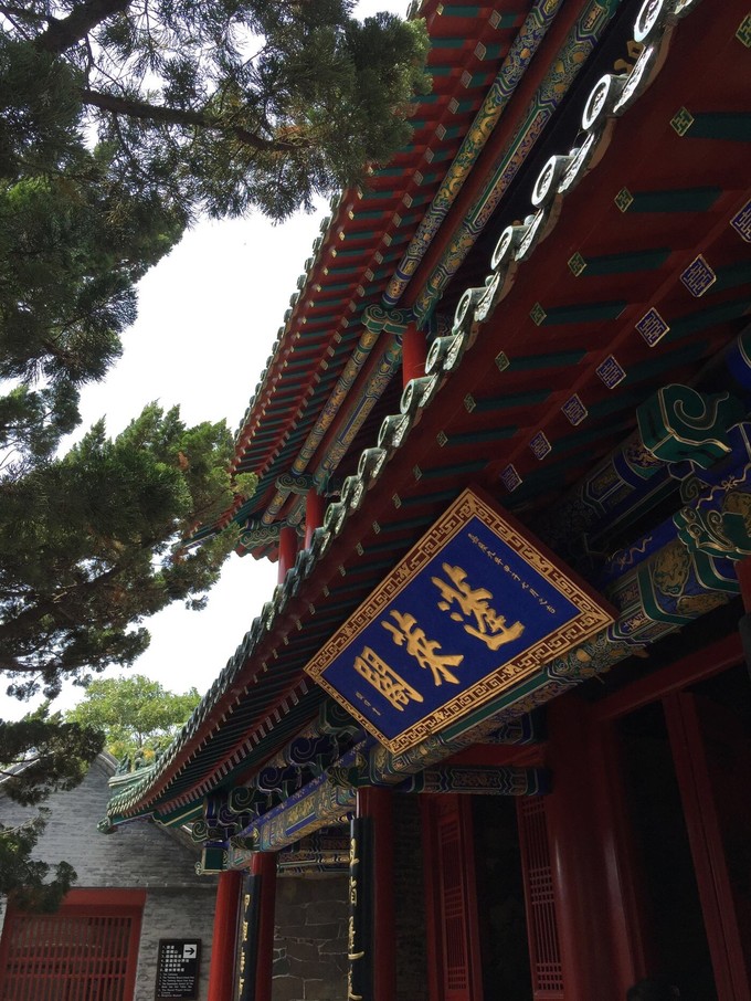 那年夏天那片海图片,那年夏天那片海