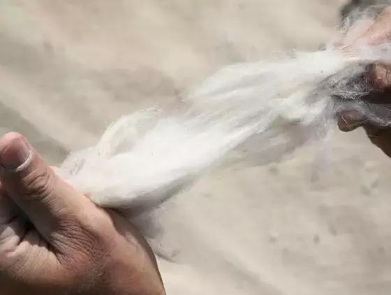 杨幂同款的围巾真洋气,杨幂同款格子围巾