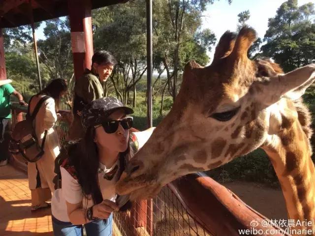 为什么很多男明星都喜欢林依晨,你们为什么喜欢林依晨