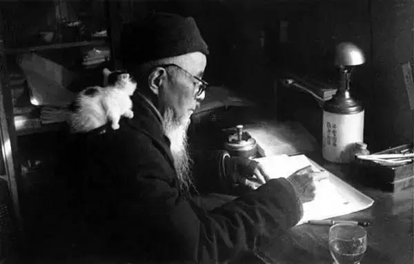 猫人，真正的猫与艺术，猫与我，还有诗