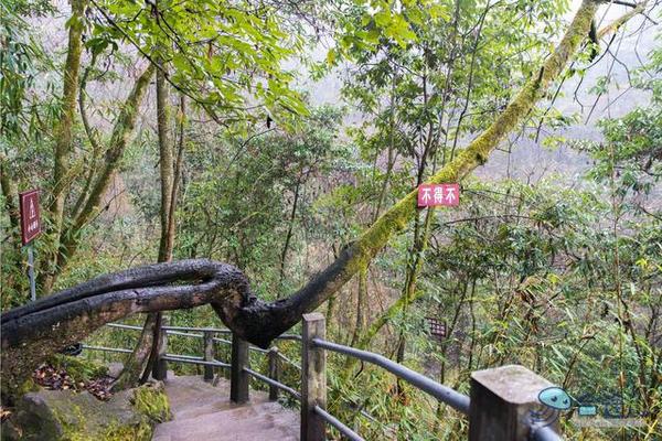 戏猴、爬山、观瀑布，那就跟我去卧龙谷！