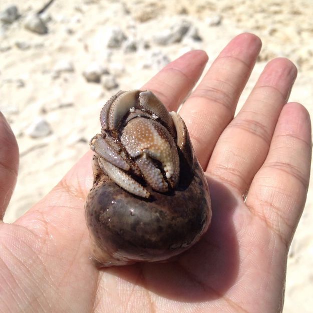 泰国天堂沙滩旅游,泰国天堂之城视频