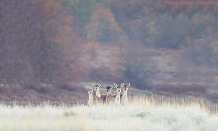 经典语录人生感悟人情冷暖,佛语人情冷暖世态炎凉语录