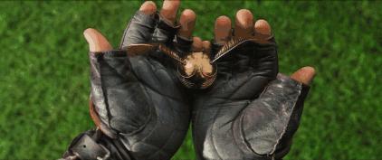 神奇动物中的咒语都有哪些,神奇动物50个常识