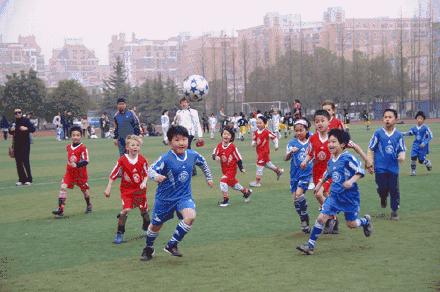 邓亚萍投资的体育中心,邓亚萍投资洛阳