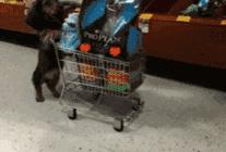 上海顶级进口超市,无锡进口超市有哪些品牌的