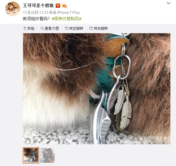 王思聪20万买日本大师设计项链给狗戴这是讽刺吴亦凡权志龙？
