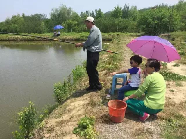 南京好玩的农家乐度假村排名,南京农家乐周末最值得一去的地方