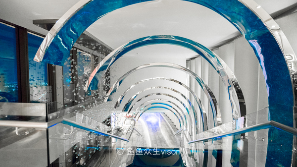 川菜有米其林三星吗,成都米其林二星川菜餐厅