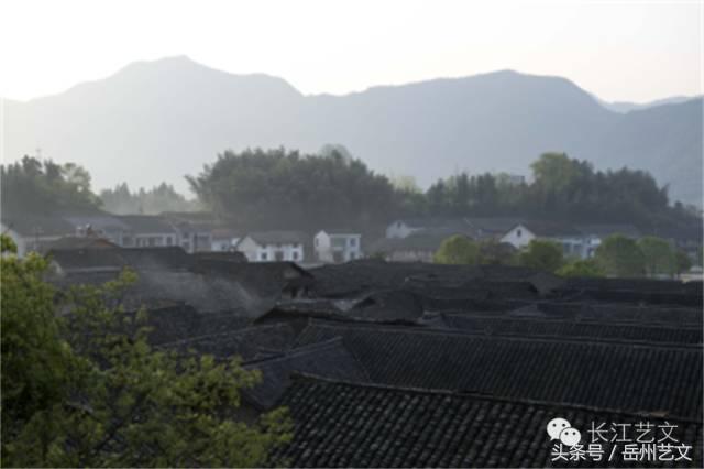 张谷英的历史故事,张谷英历史背景