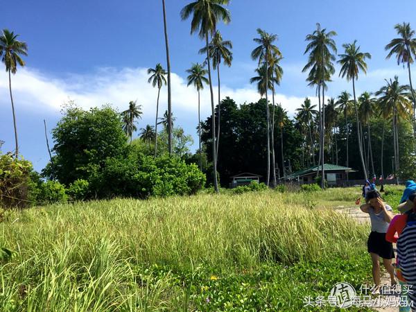 仙本那考潜水证日程,去仙本那潜水要考什么证