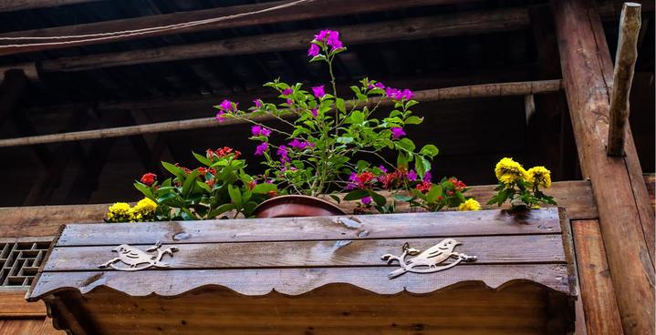 拥抱纯净世界，梦回黔东南