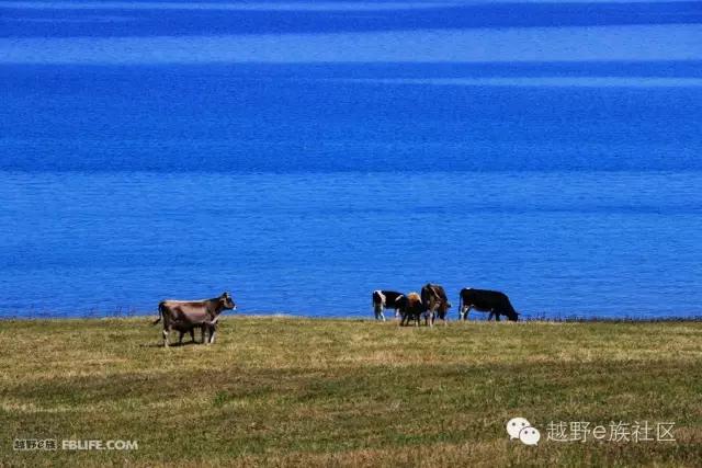 说走就走出去溜达,说走就走出去玩视频