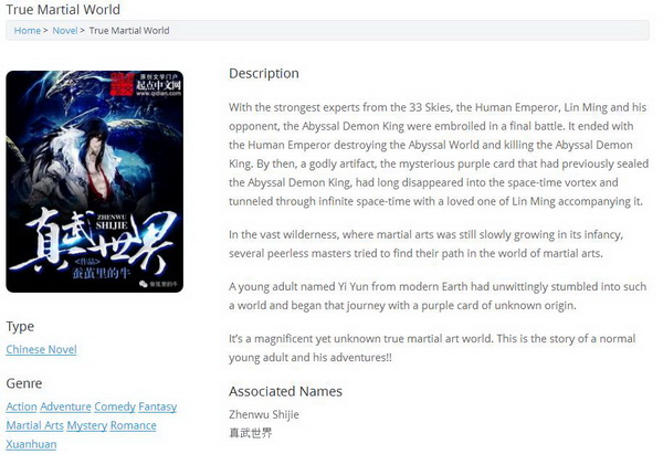 十大受外国人欢迎的中国网络小说,外国人公认最好看的中国小说