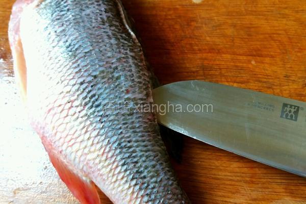 剔鱼片的教程,鱼片的切法剔除鱼刺视频