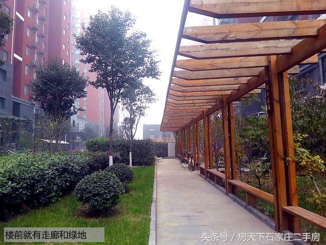 和平时光小区前景如何,和平时光小区