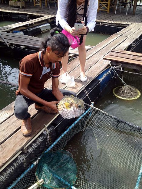 泰国天堂沙滩旅游,泰国天堂之城视频
