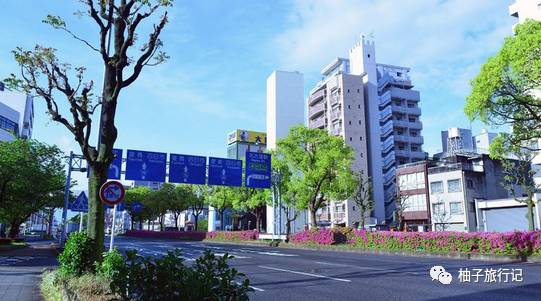 樱花旅行记全集视频,日本樱花7日游攻略大全