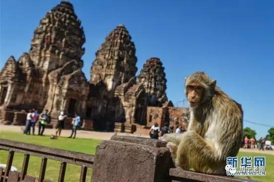 马哲名词解释核心考点,马哲普遍联系原理