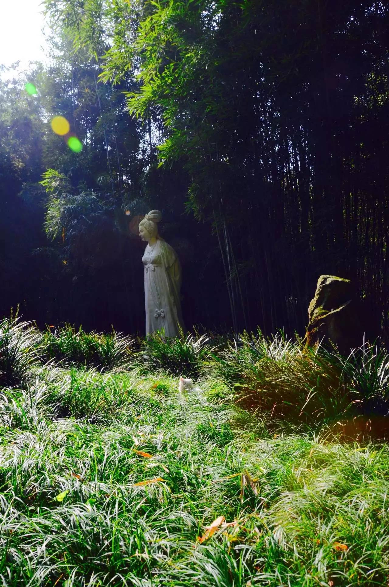 唐代女诗人薛涛简介,唐朝美女诗人薛涛