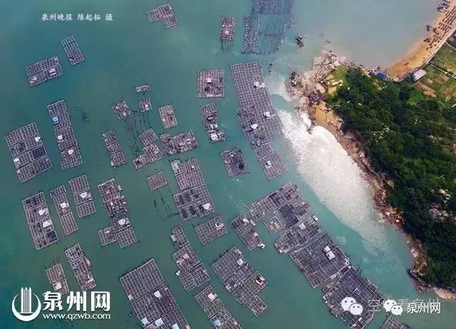 你以为这是“垃圾”!却不知有人这样用它们赚大钱!