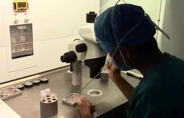 2018深圳试管婴儿,深圳人民医院试管婴儿