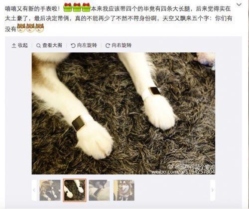 王思聪给王可可买的狗链挑衅了整个娱乐圈吴亦凡权志龙躺枪