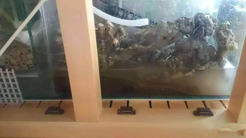 简单粗暴开啤酒,简单开个缸