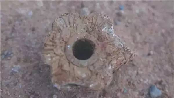 广西玉林传统村落,第四批广西传统村落名单