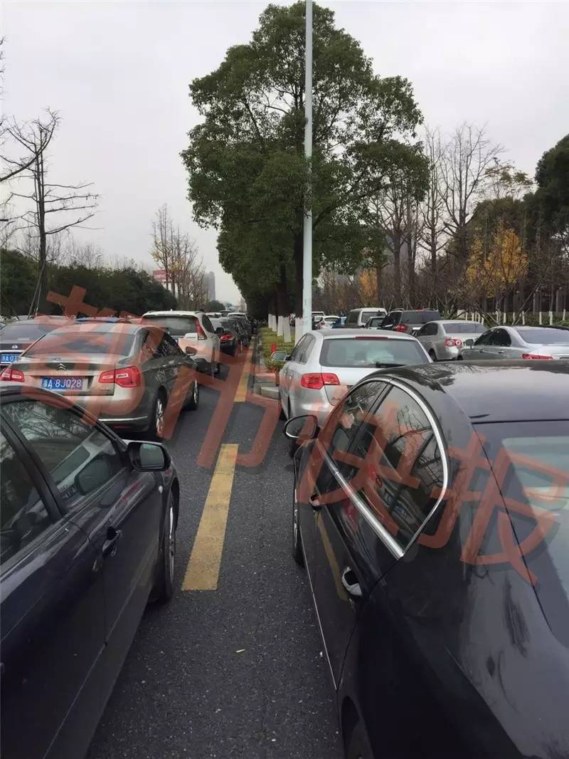 杭州两万中小学生周末“杀入”数学杯赛考场，据说只有1%的人才能借此敲开民办初中大门