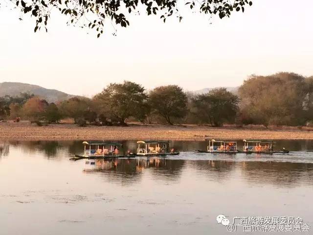 深度关注我县吹响旅游复苏新号角,广西双创示范基地