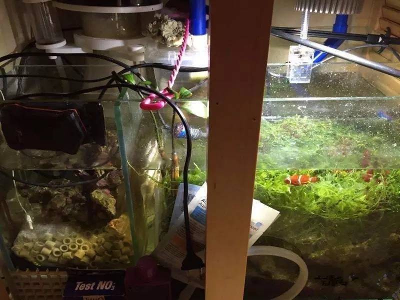 简单粗暴开啤酒,简单开个缸