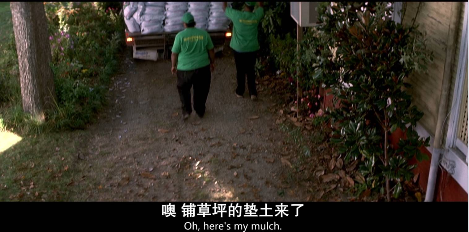 周末宅家电视剧,周末宅家视频下雨天