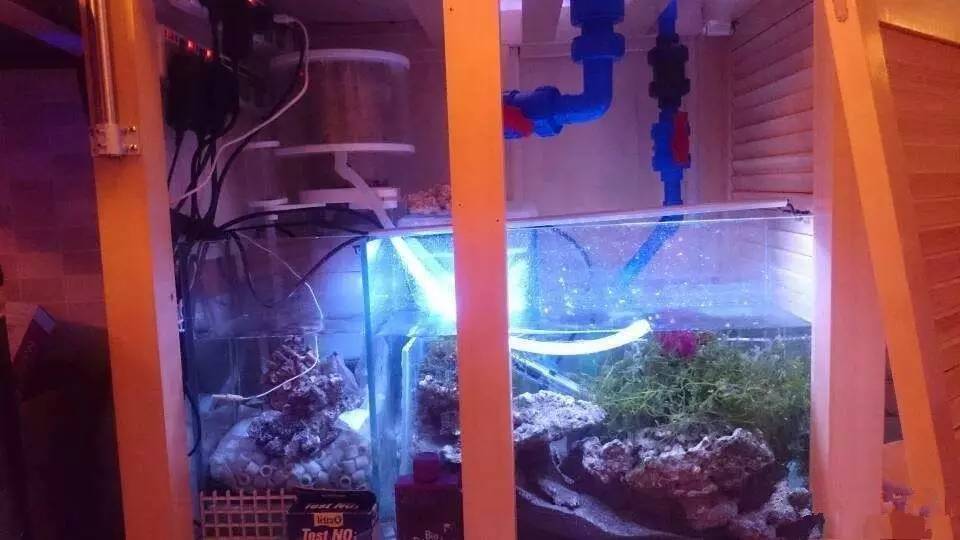 简单粗暴开啤酒,简单开个缸