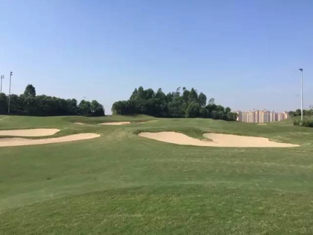 世界冠军专程助阵,为参赛球队提供总决赛球场最全攻略