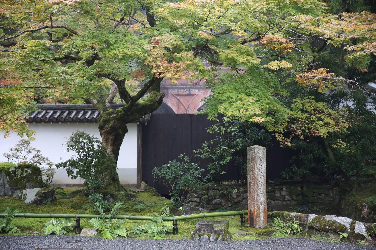 关西温泉六日游,大阪关西机场温泉