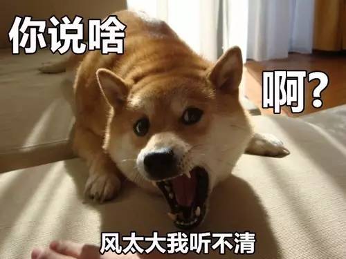 先驱赶宋智孝、*钟金**国再假意道歉《RM》制作团队渣出新纪录